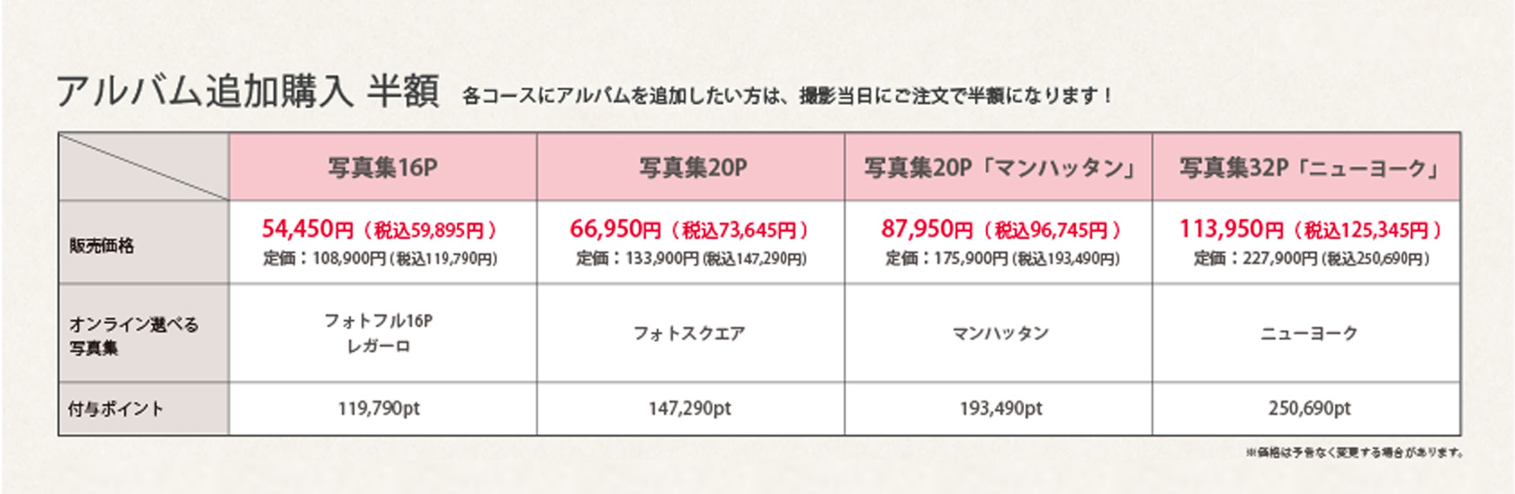 追加オプション