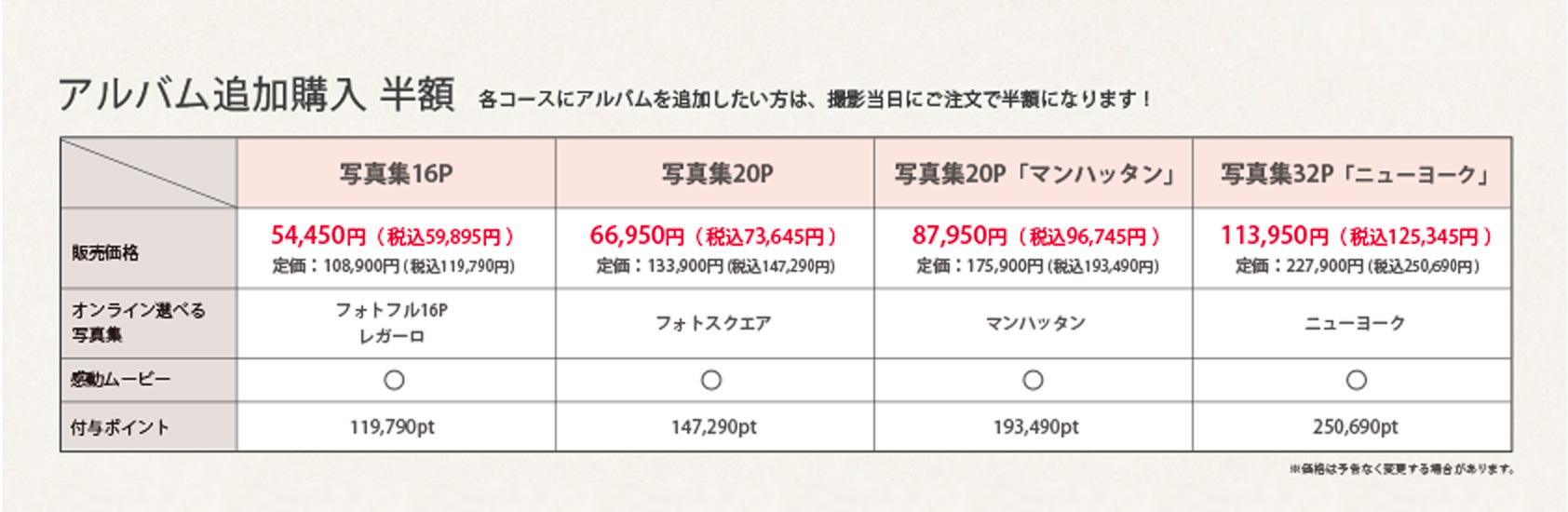追加オプション