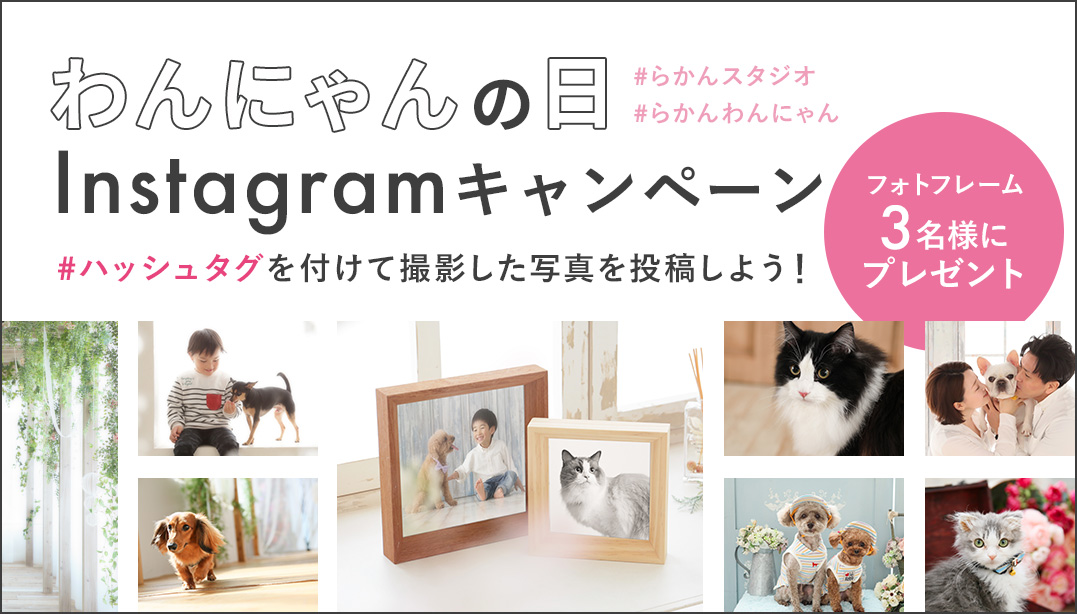 わんにゃんの日Instagramハッシュタグキャンペーン