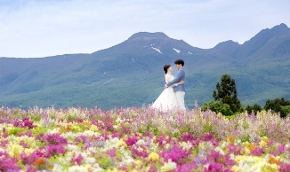 花畑