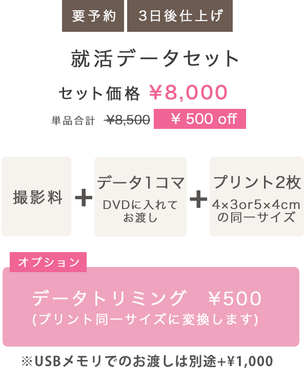 就活データセット8000円